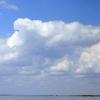 100620_31_elbow
