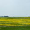 100620_49_highway44
