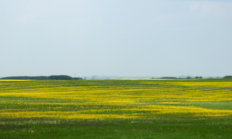 100620_49_highway44