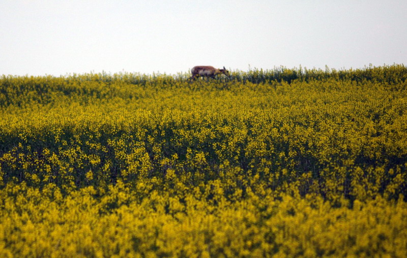 100620_50_highway44
