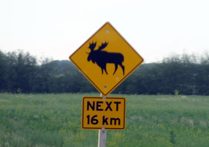 100628_25_highway16