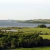 100628_31_blackstrap