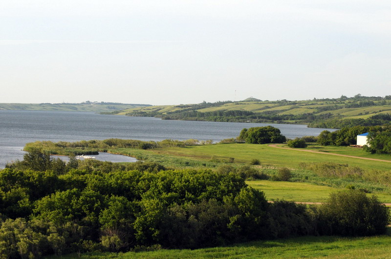 100628_31_blackstrap