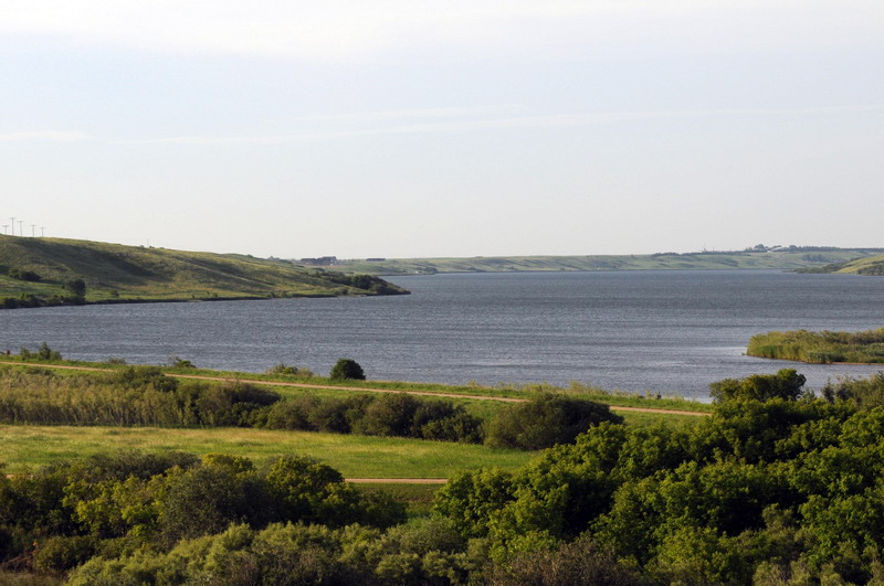 100628_32_blackstrap