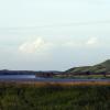 100628_34_blackstrap