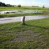 100630_01_16westrvparksaskatoon
