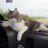 100630_19_highway11