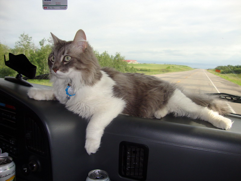 100630_19_highway11