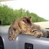 100630_23_highway2
