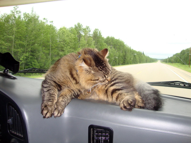 100630_23_highway2