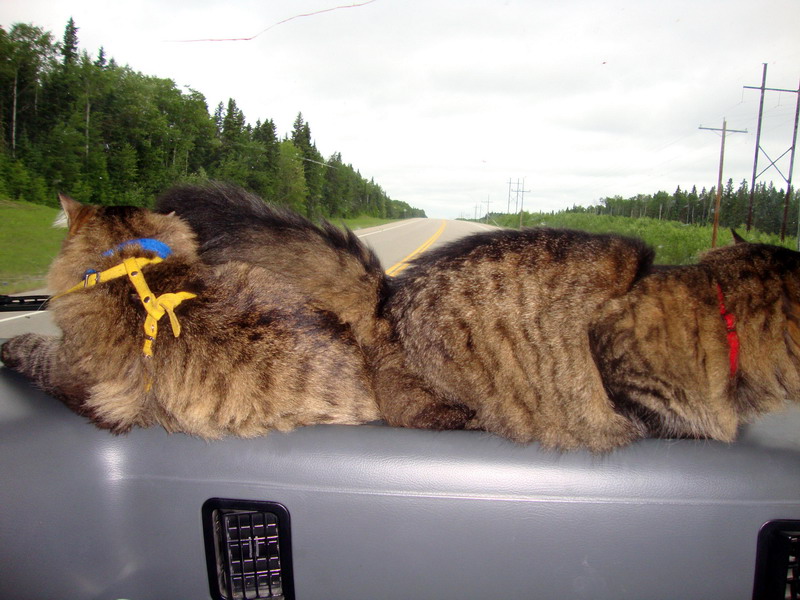 100630_24_highway2