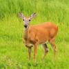 100630_27_highway264