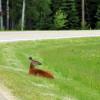 100630_31_highway264