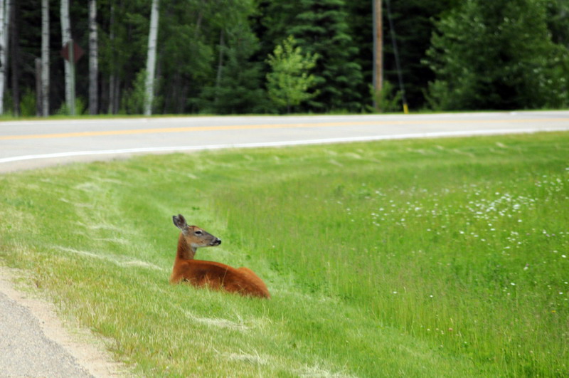 100630_31_highway264