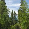 100702_03_reddeercampground