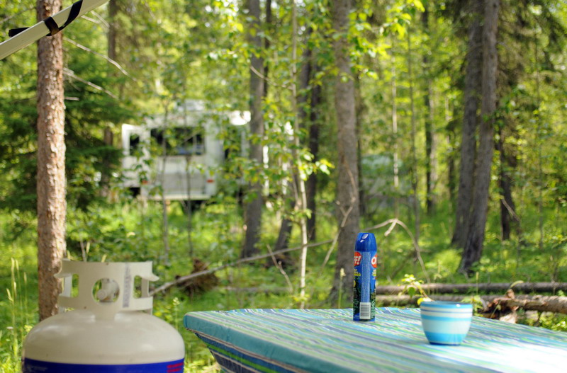 100702_04_reddeercampground
