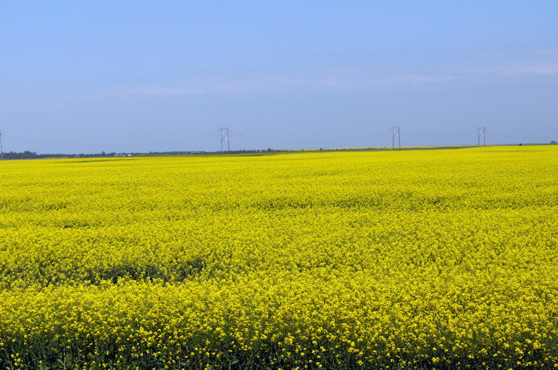 100716_01_west_of_regina