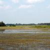 100728_04_yorkton
