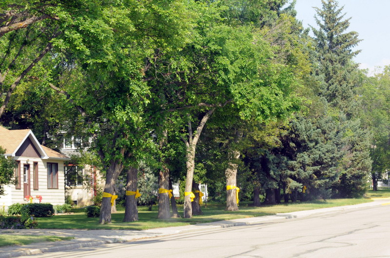 100728_09_kamsack