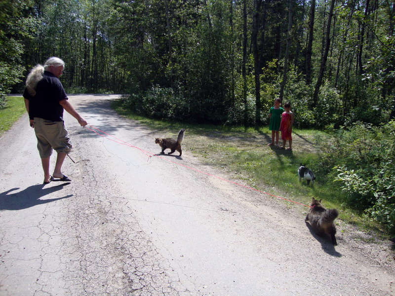 100729_02_duckmountainpp