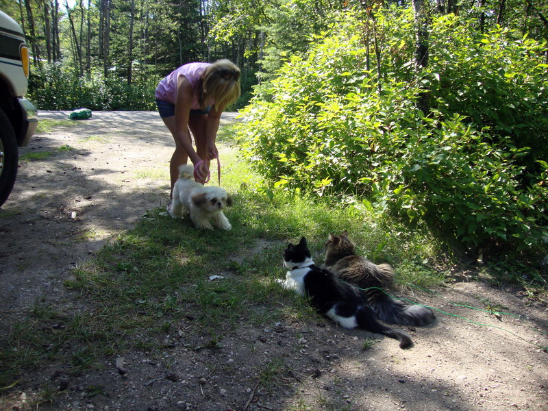 100729_14_duckmountainpp