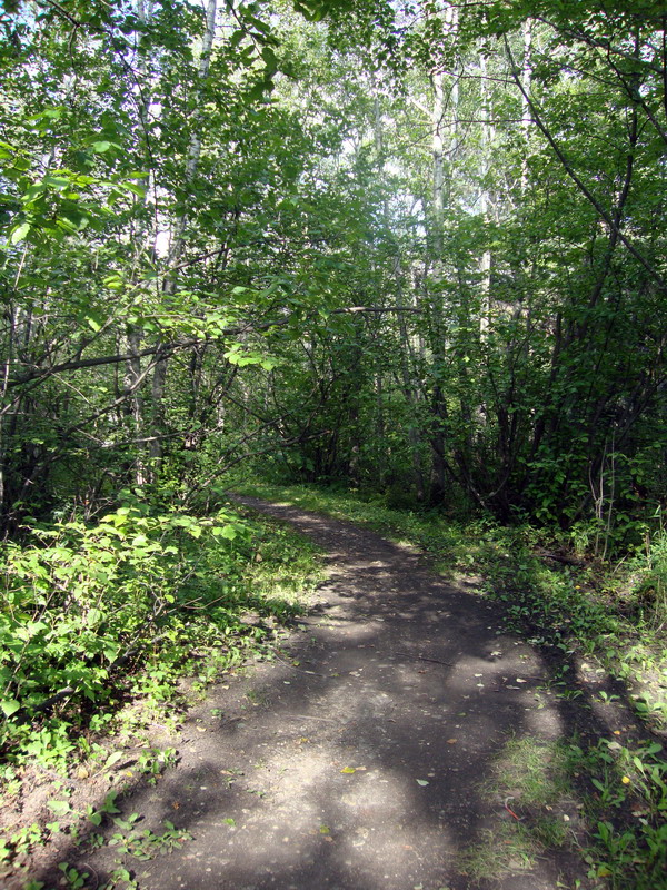 100729_16_duckmountainpp