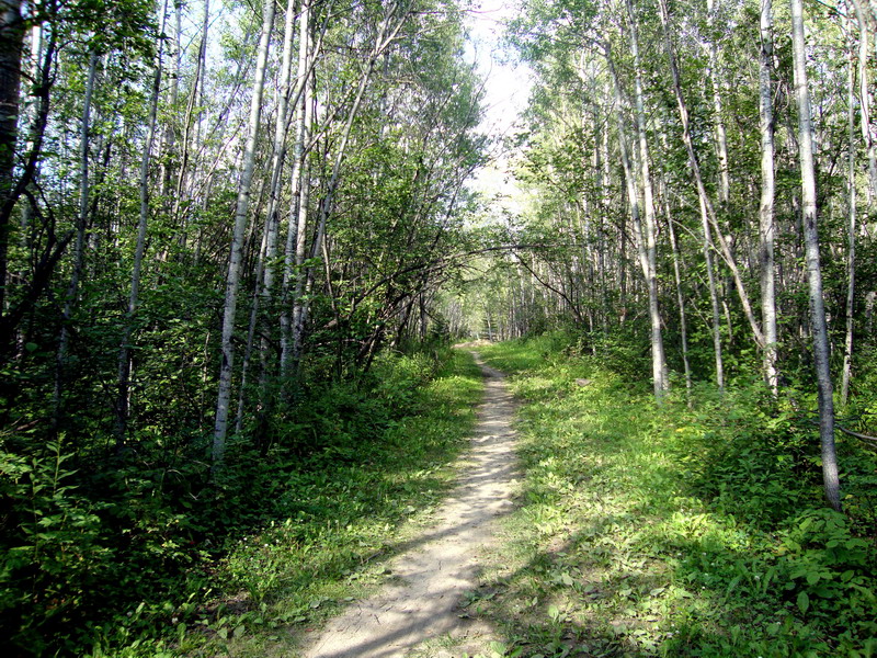 100729_19_duckmountainpp