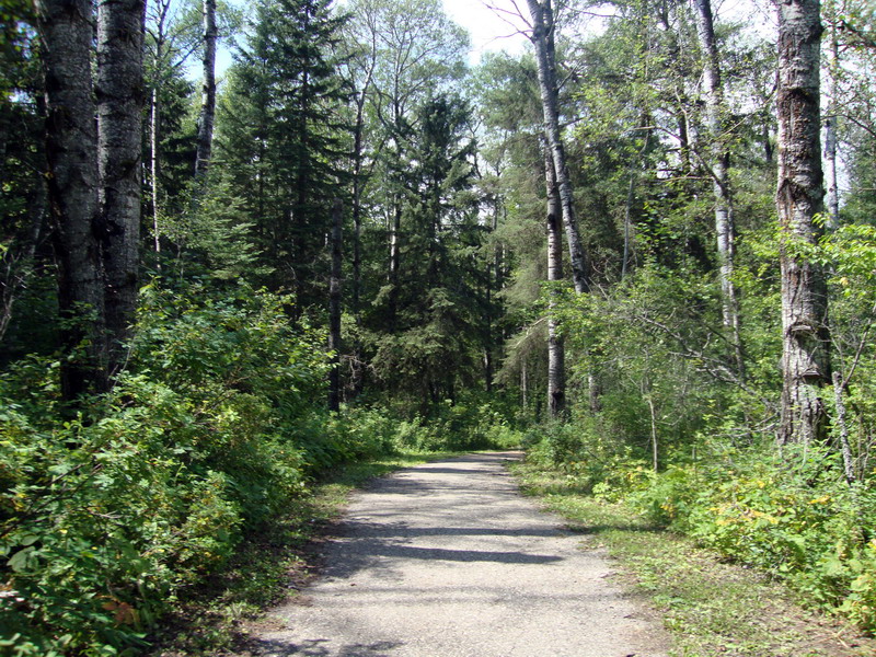 100730_02_duckmountainpp