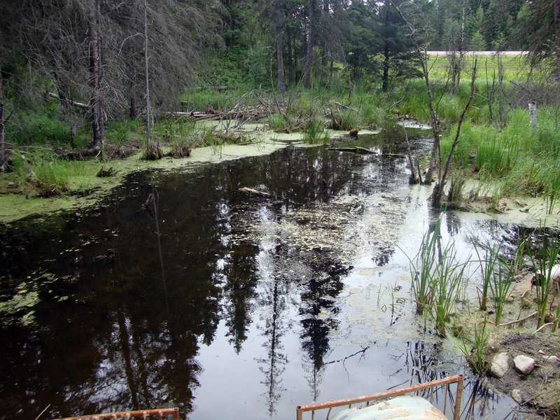 100730_21_duckmountainpp