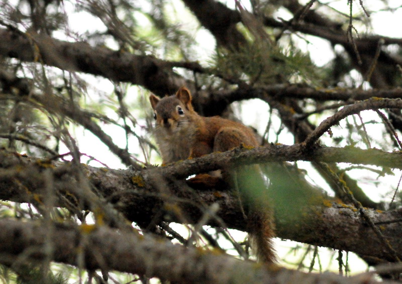 100730_48_duckmountainpp
