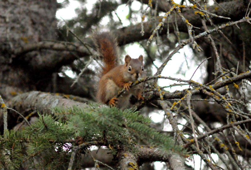 100730_52_duckmountainpp