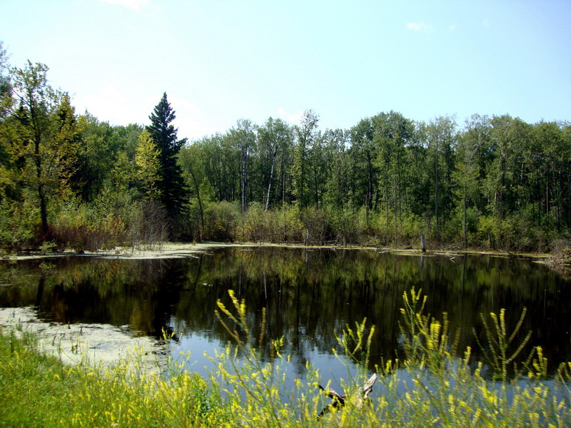 100731_12_duckmountainpp