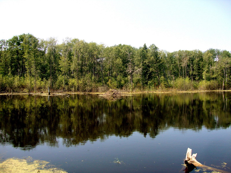 100731_13_duckmountainpp
