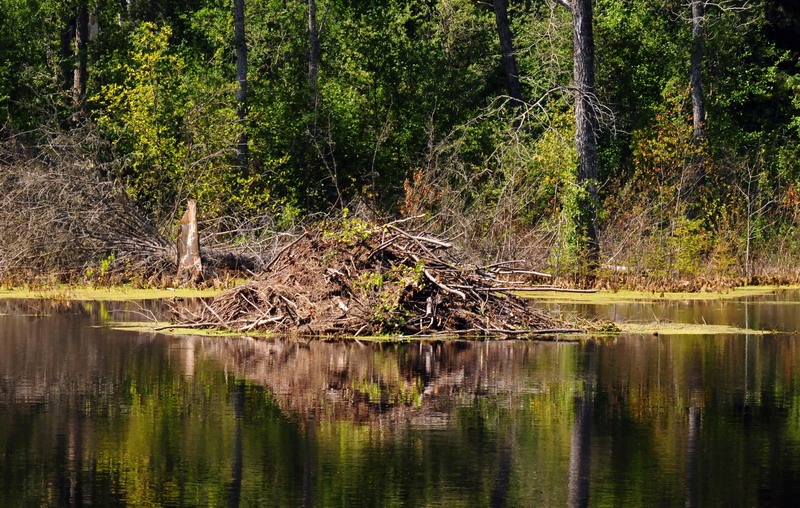100731_14_duckmountainpp