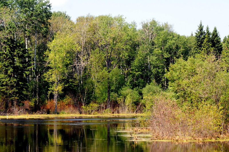100731_15_duckmountainpp