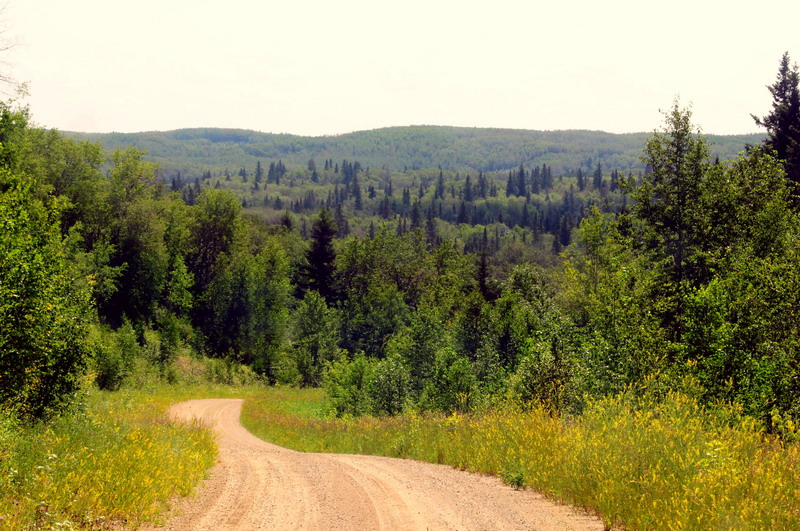 100731_18_duckmountainpp_skihillroad
