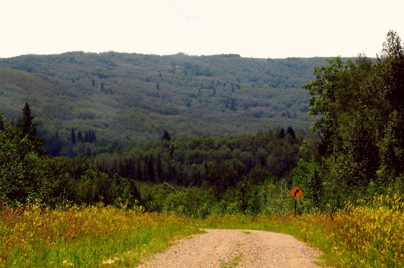 100731_23_duckmountainpp