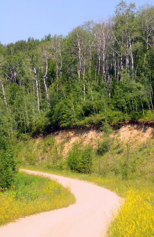 100731_29_duckmountainpp