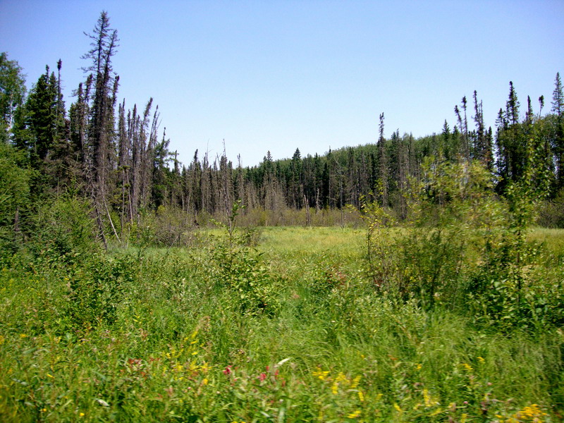 100731_32_duckmountainpp