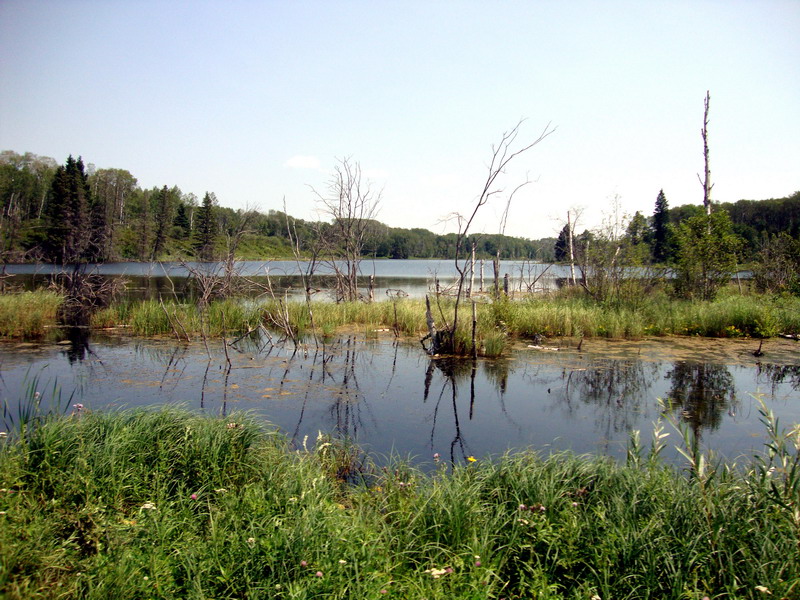 100731_38_duckmountainpp