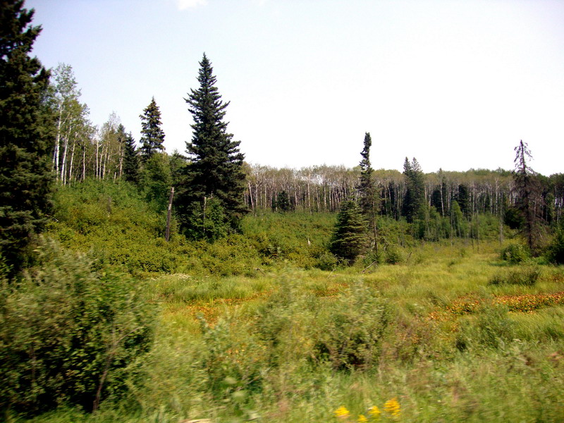 100731_50_duckmountainpp
