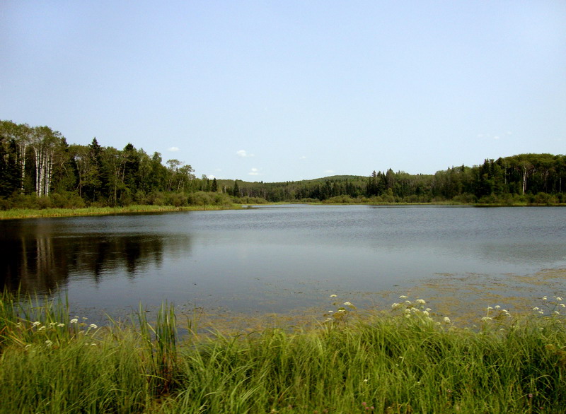 100731_52_duckmountainpp