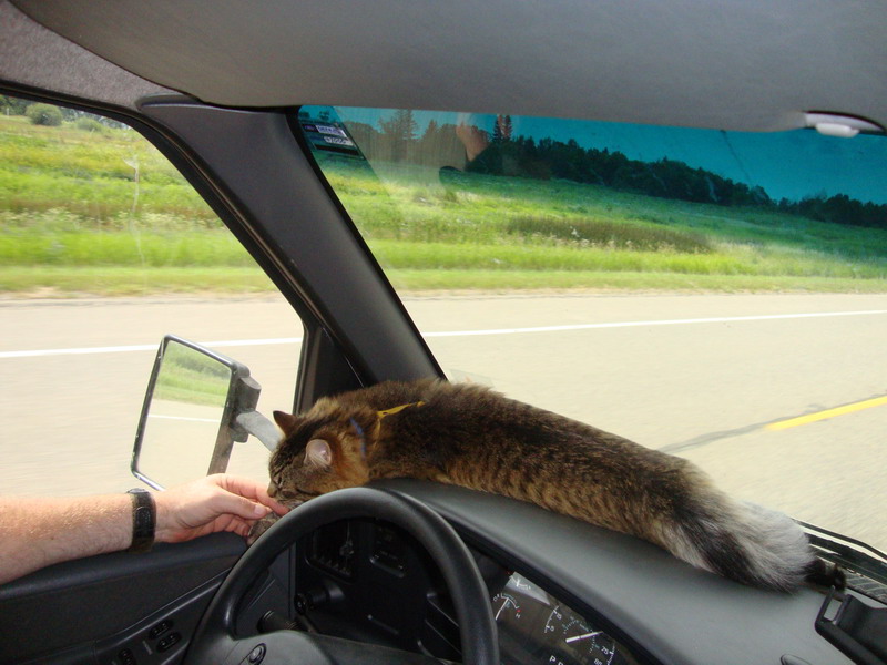 100801_02_highway9