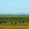 100813_10_highway2