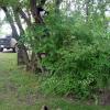 100814_07_manitou