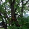 100814_08_manitou