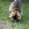 100814_10_manitou