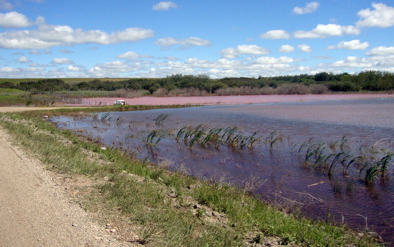 100815_10_littlemanitoulake