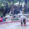 101009_051_lasvegas