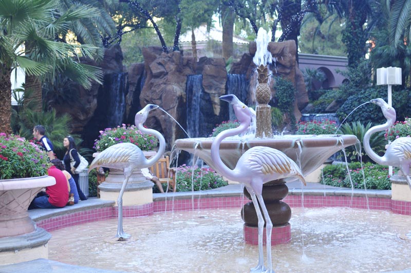 101009_051_lasvegas